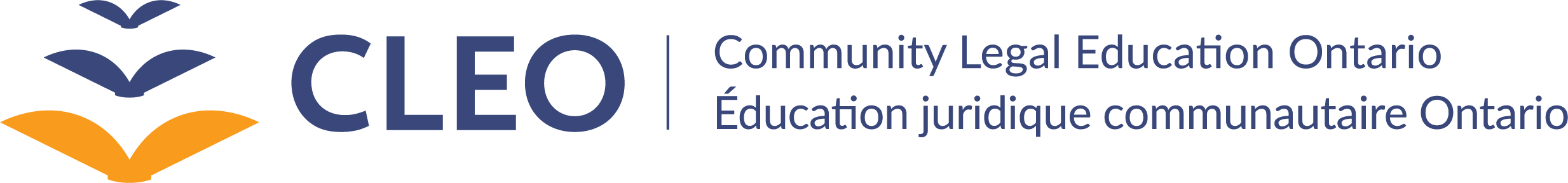 CLEO Outreach